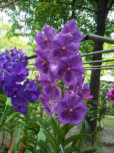 104_7345.jpg